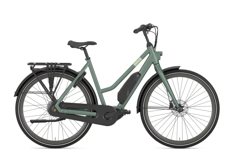 Een productafbeelding van een Gazelle Esprit C7 Hms L46 Moss Green S7 (mat)